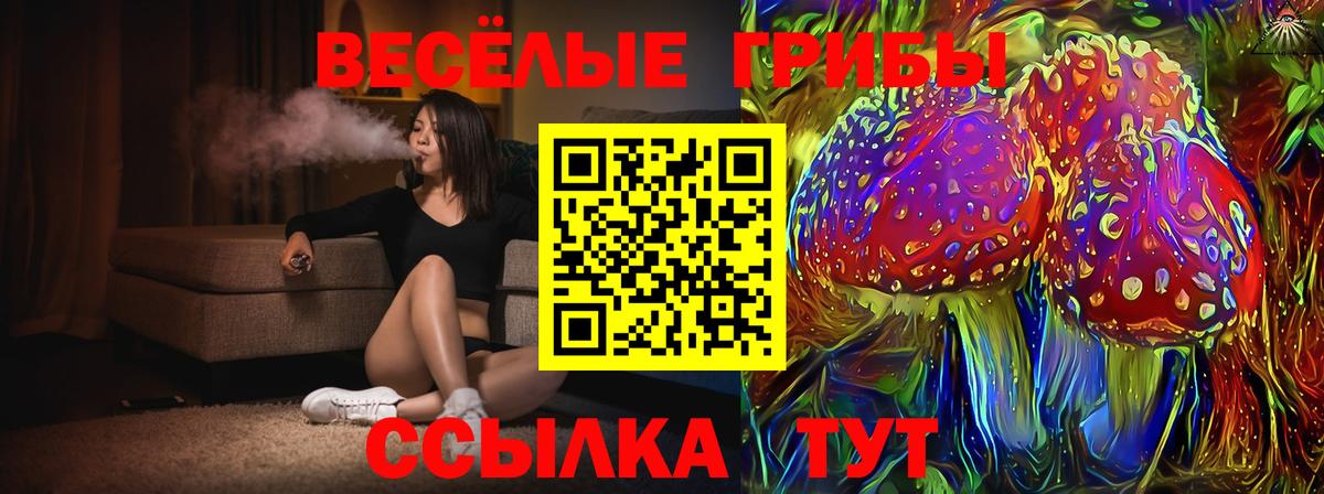 цены наркотик  Вход с VPN  Борзя  Галлюциногенные грибы Magic Shrooms 